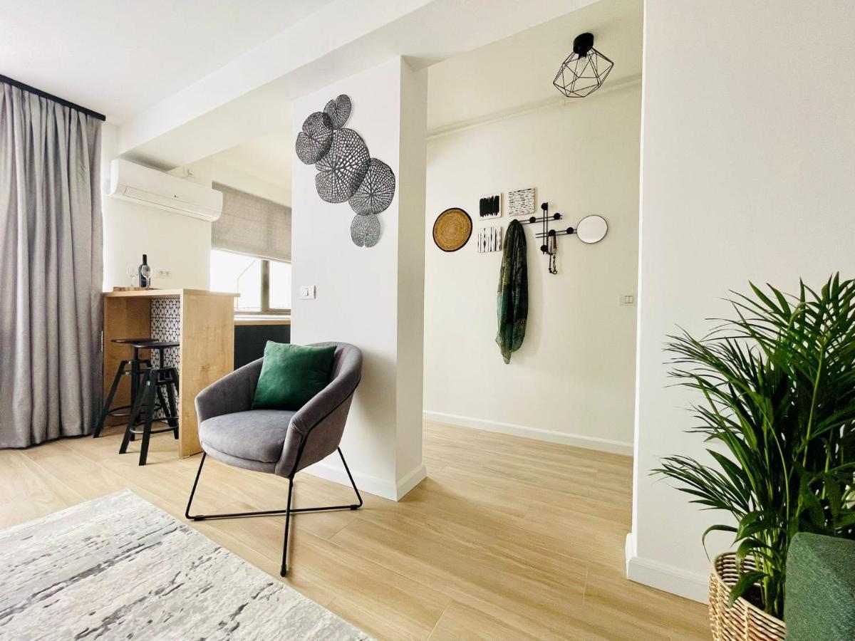 טימישוארה City Center View Studio Apartment 1 מראה חיצוני תמונה