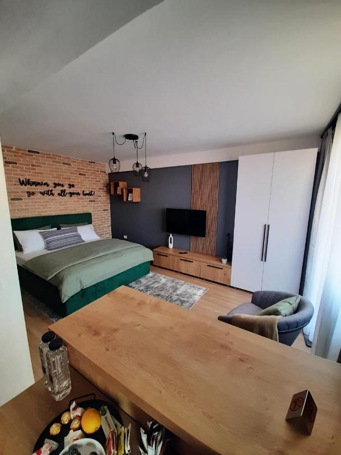 טימישוארה City Center View Studio Apartment 1 מראה חיצוני תמונה