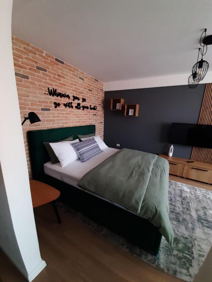 טימישוארה City Center View Studio Apartment 1 מראה חיצוני תמונה
